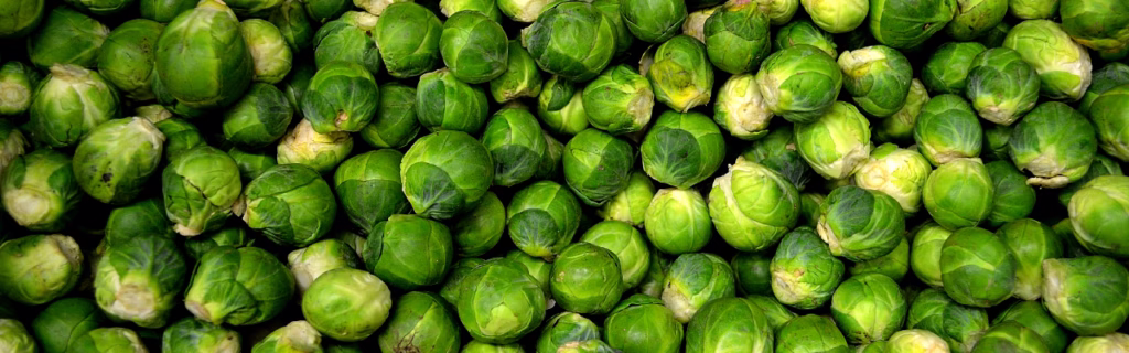 Rosenkohl