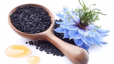 SchwarzkümmelÖl, Löffel mit Pflanze und Tropfen